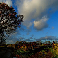 Buy canvas prints of Blue Skies and Clouds above Kent Country Lane and  by Serena Bowles