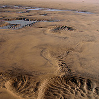Buy canvas prints of Receding Tide, Wide Sandy Beach, Goa by Serena Bowles
