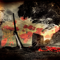 Buy canvas prints of Lest We Forget  by Louise Godwin