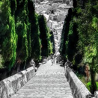 Buy canvas prints of Calvary Steps Pollensa by Louise Godwin