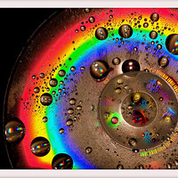 Buy canvas prints of CD Rainbow by Louise Godwin