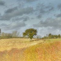 Buy canvas prints of Two Trees by Louise Godwin