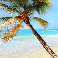 Buy canvas prints of Relax Palm Tree Time by Louise Godwin