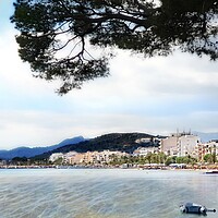 Buy canvas prints of Puerto Pollensa Dreaming by Louise Godwin