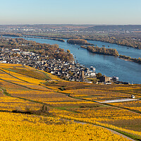 Buy canvas prints of Rhine valley in the fall by Thomas Schaeffer