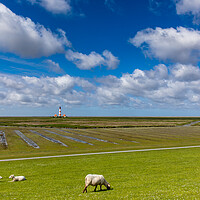 Buy canvas prints of Westerhever Lighthouse by Thomas Schaeffer