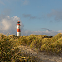 Buy canvas prints of Dune Lighthouse by Thomas Schaeffer