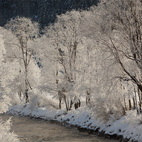 Buy canvas prints of Icy River by Thomas Schaeffer