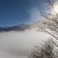 Buy canvas prints of Foggy Wintermorning by Thomas Schaeffer