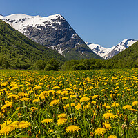 Buy canvas prints of Norway meadows by Thomas Schaeffer