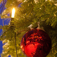 Buy canvas prints of Christmas tree detail by Thomas Schaeffer