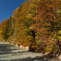 Buy canvas prints of Fall colors in the alps by Thomas Schaeffer