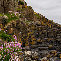 Buy canvas prints of Giants Causeway by Thomas Schaeffer