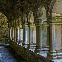 Buy canvas prints of Quin Abbey by Thomas Schaeffer