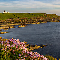 Buy canvas prints of Sunset am Galley Head by Thomas Schaeffer