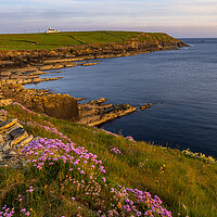 Buy canvas prints of Sunset am Galley Head by Thomas Schaeffer