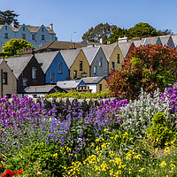 Buy canvas prints of Rundgang durch Cobh by Thomas Schaeffer