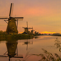 Kinderdijk Sunrise Windmills