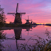Kinderdijk Sunrise Windmills