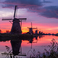 Kinderdijk Red Sunrise Landscape