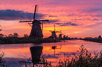 Click to show how this picture will look as a piece of wall art