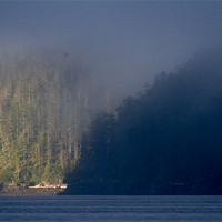 Buy canvas prints of Morning mist in Knight Inlet by Thomas Schaeffer