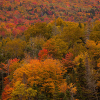 Buy canvas prints of Fall colors New Hampshire by Thomas Schaeffer