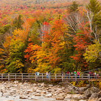Buy canvas prints of Fall colors at the Highway by Thomas Schaeffer