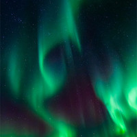 Buy canvas prints of Northern light over Laukvik by Thomas Schaeffer