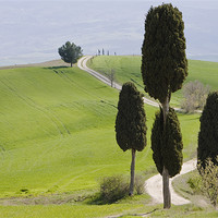 Buy canvas prints of Tuscan landscape by Thomas Schaeffer