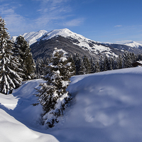 Buy canvas prints of Winter in Tyrol by Thomas Schaeffer