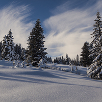 Buy canvas prints of Winter wonderland by Thomas Schaeffer