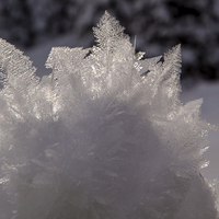 Buy canvas prints of Snow crystal by Thomas Schaeffer