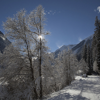 Buy canvas prints of Winter in the alps by Thomas Schaeffer