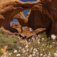 Buy canvas prints of Double Arch by Thomas Schaeffer