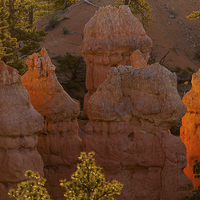 Buy canvas prints of Sunrise at Bryce Canyon by Thomas Schaeffer