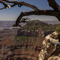 Buy canvas prints of North Rim at Bright Angel Point by Thomas Schaeffer