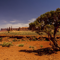 Buy canvas prints of Monument Valley by Thomas Schaeffer