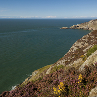 Buy canvas prints of South Stack by Thomas Schaeffer