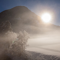 Buy canvas prints of Misty winter morning by Thomas Schaeffer