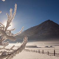 Buy canvas prints of Misty winter morning by Thomas Schaeffer