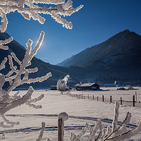 Buy canvas prints of Winter morning by Thomas Schaeffer