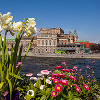 Buy canvas prints of Downtown Stockholm by Thomas Schaeffer