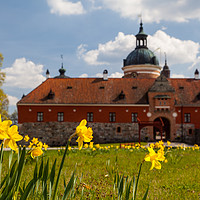 Buy canvas prints of Gripsholm castle by Thomas Schaeffer