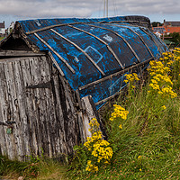 Buy canvas prints of Boat shed by Thomas Schaeffer