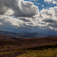 Buy canvas prints of Cairngorms NP by Thomas Schaeffer