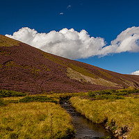 Buy canvas prints of Cairngorms NP by Thomas Schaeffer