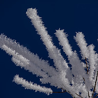 Buy canvas prints of Ice formation by Thomas Schaeffer