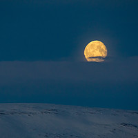 Buy canvas prints of Arctic Moonset by Thomas Schaeffer
