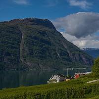 Buy canvas prints of Lustrafjord by Thomas Schaeffer